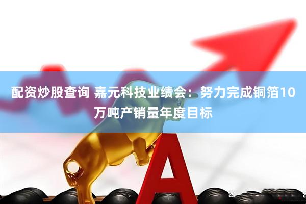 配资炒股查询 嘉元科技业绩会：努力完成铜箔10万吨产销量年度目标