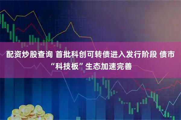配资炒股查询 首批科创可转债进入发行阶段 债市“科技板”生态加速完善