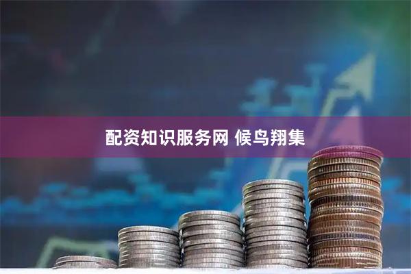 配资知识服务网 候鸟翔集