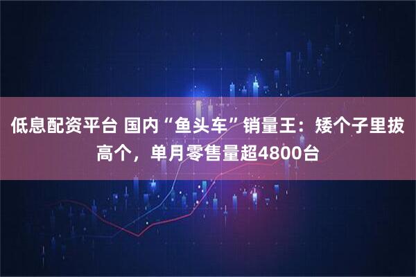 低息配资平台 国内“鱼头车”销量王：矮个子里拔高个，单月零售量超4800台